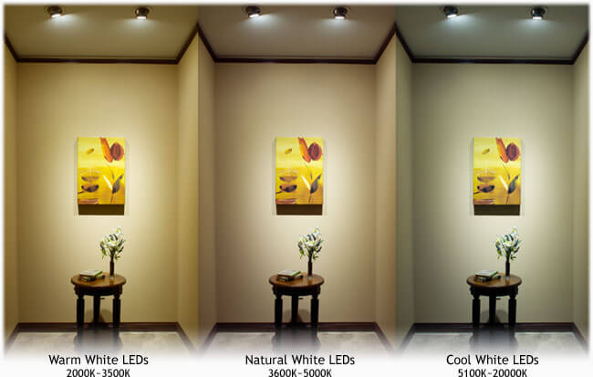 LED bulb color temperature comparison