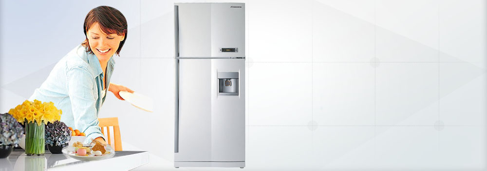 advantages and disadvantages of double door refrigerator